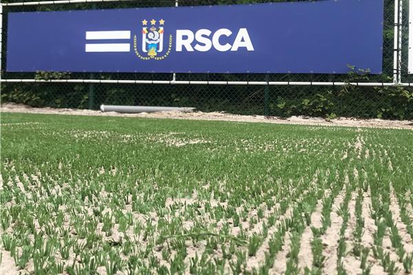 Aménagement terrain de football en gazon hybride avec chauffage au complexe d'entraînement de RSC Anderlecht - Sportinfrabouw NV